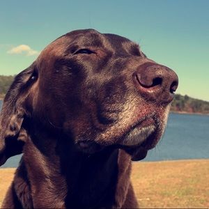 Meet your Posher, Haley